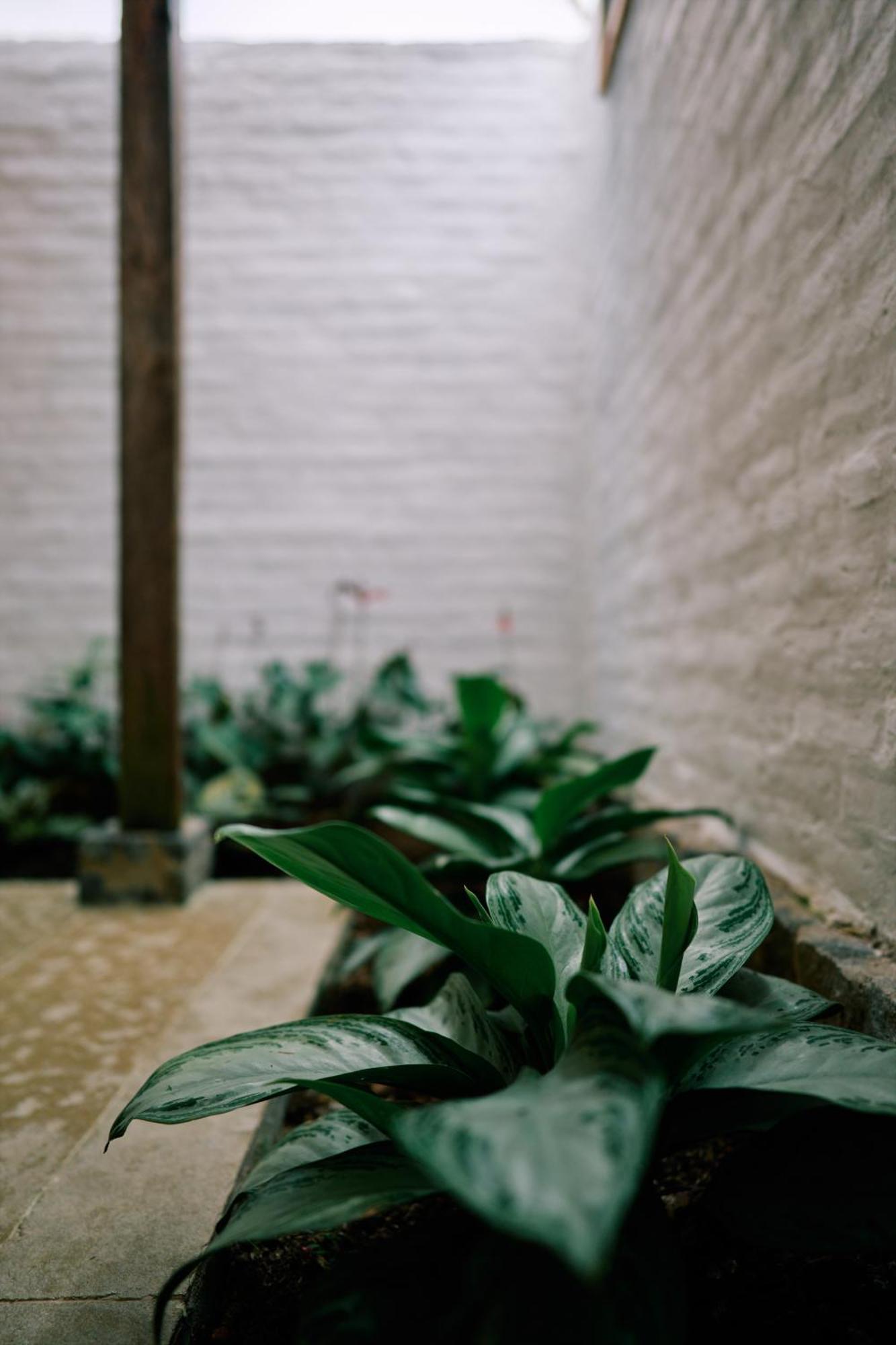 Eucaliptus Spa Resort Dapa 외부 사진